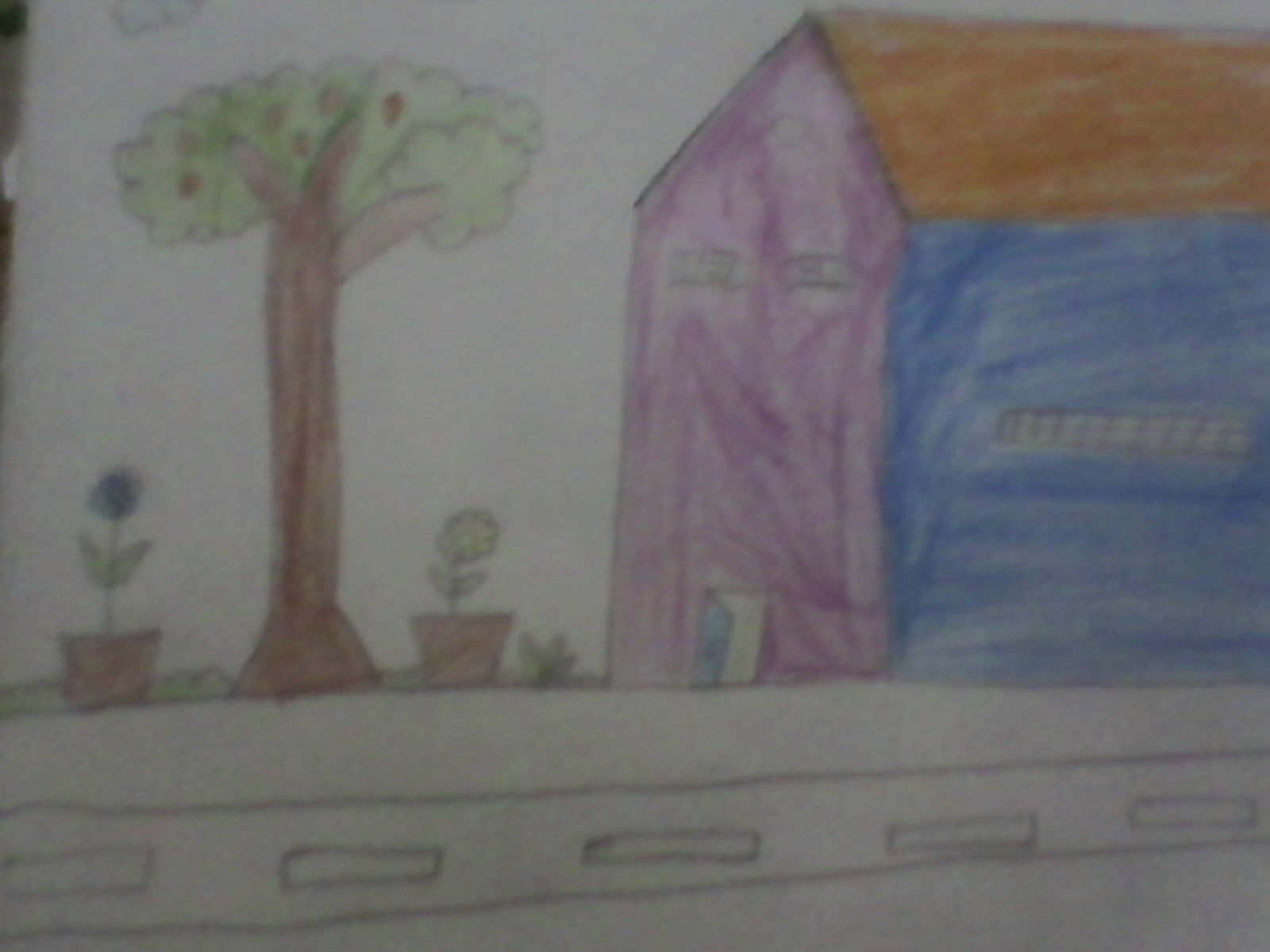 Akshainie Lal creative work