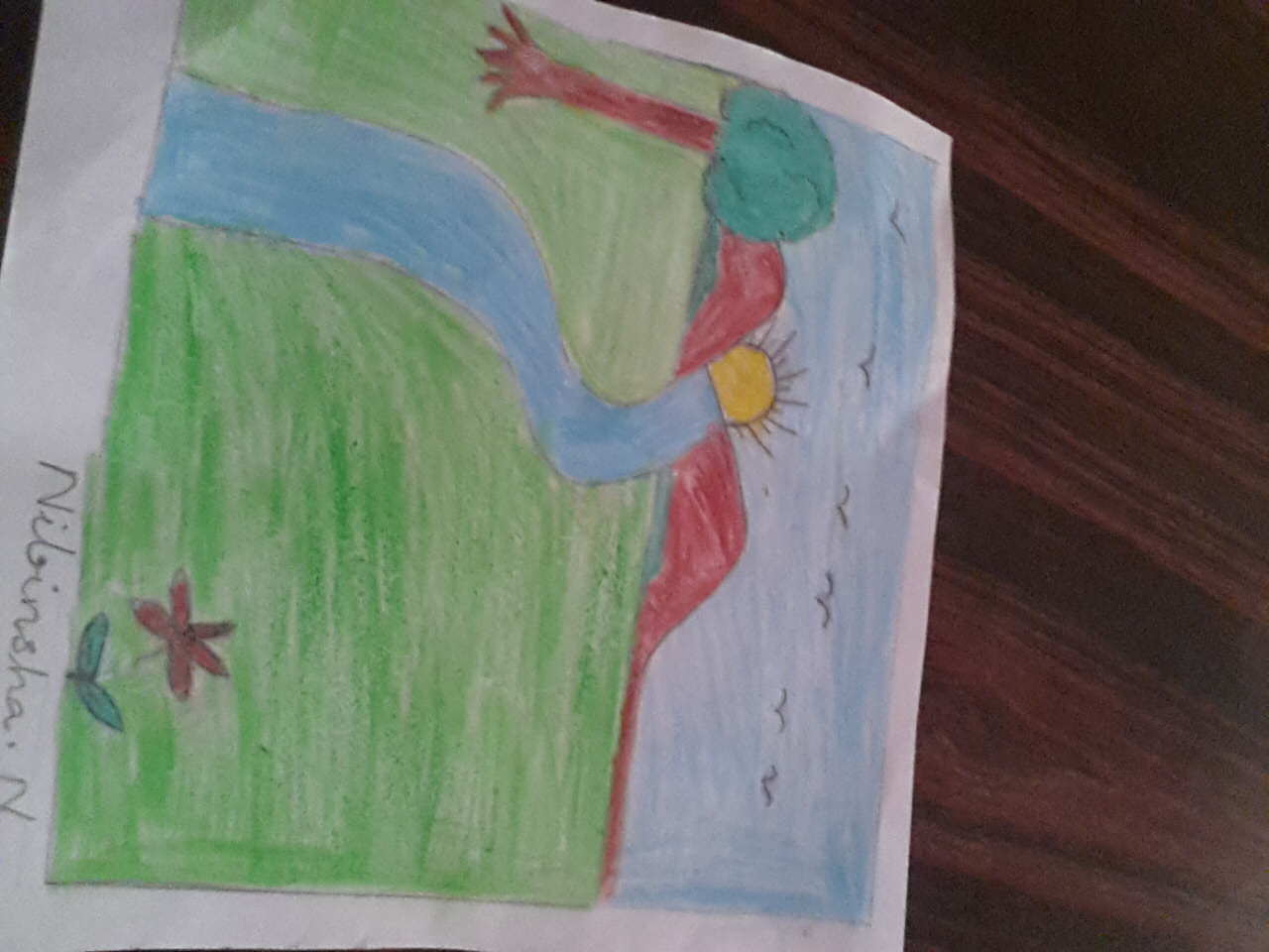 Nibinsha N creative work