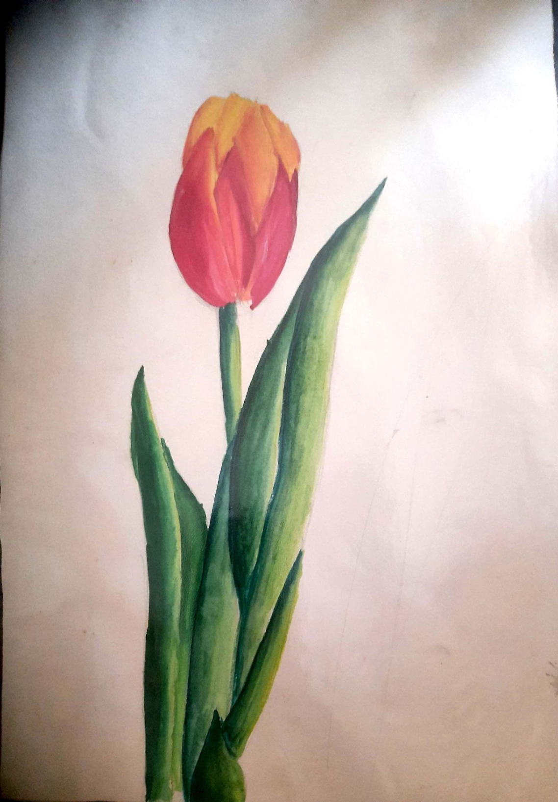 Dhruvi Khandwala creative work