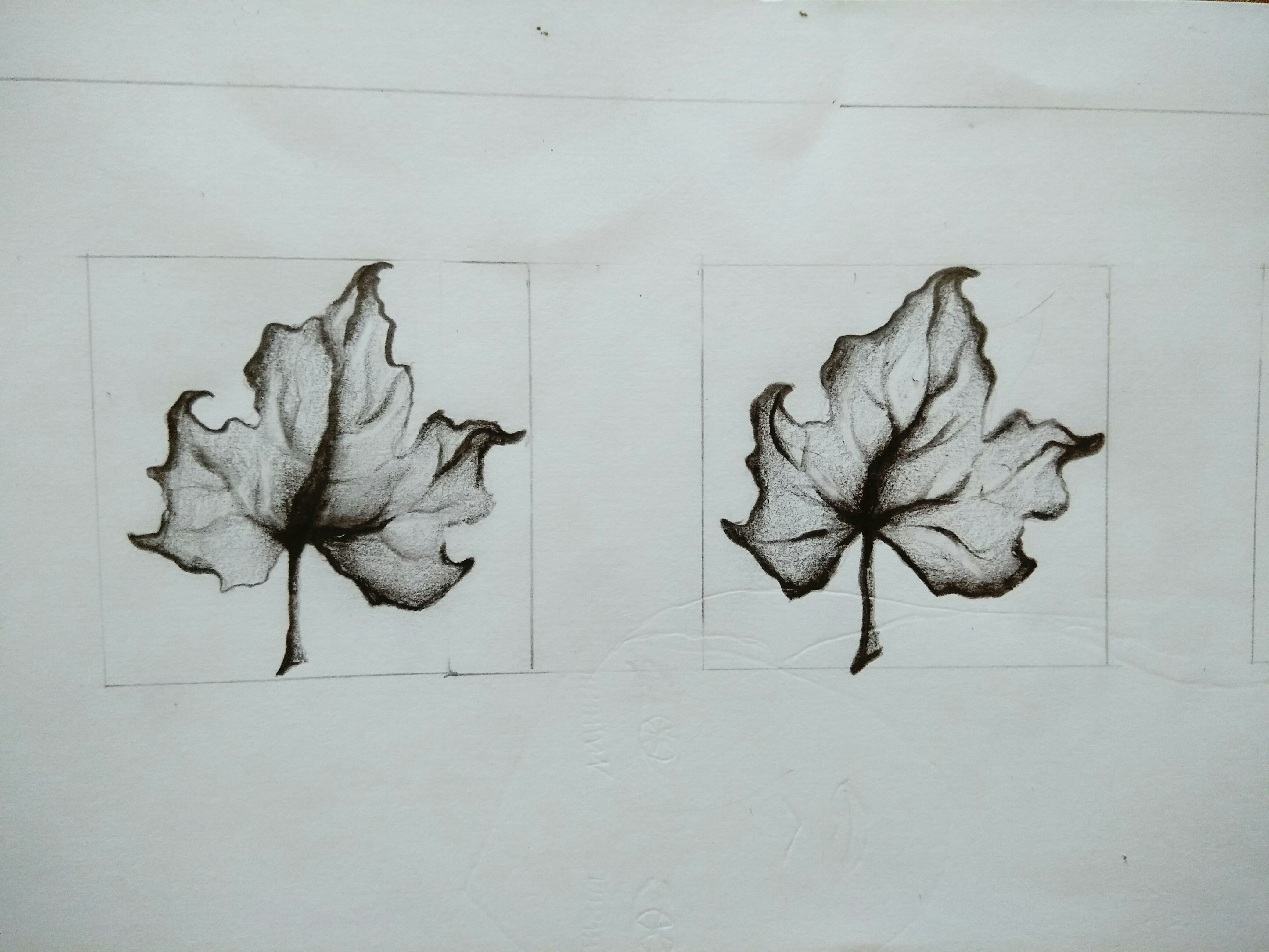 Srihitha shaga creative work
