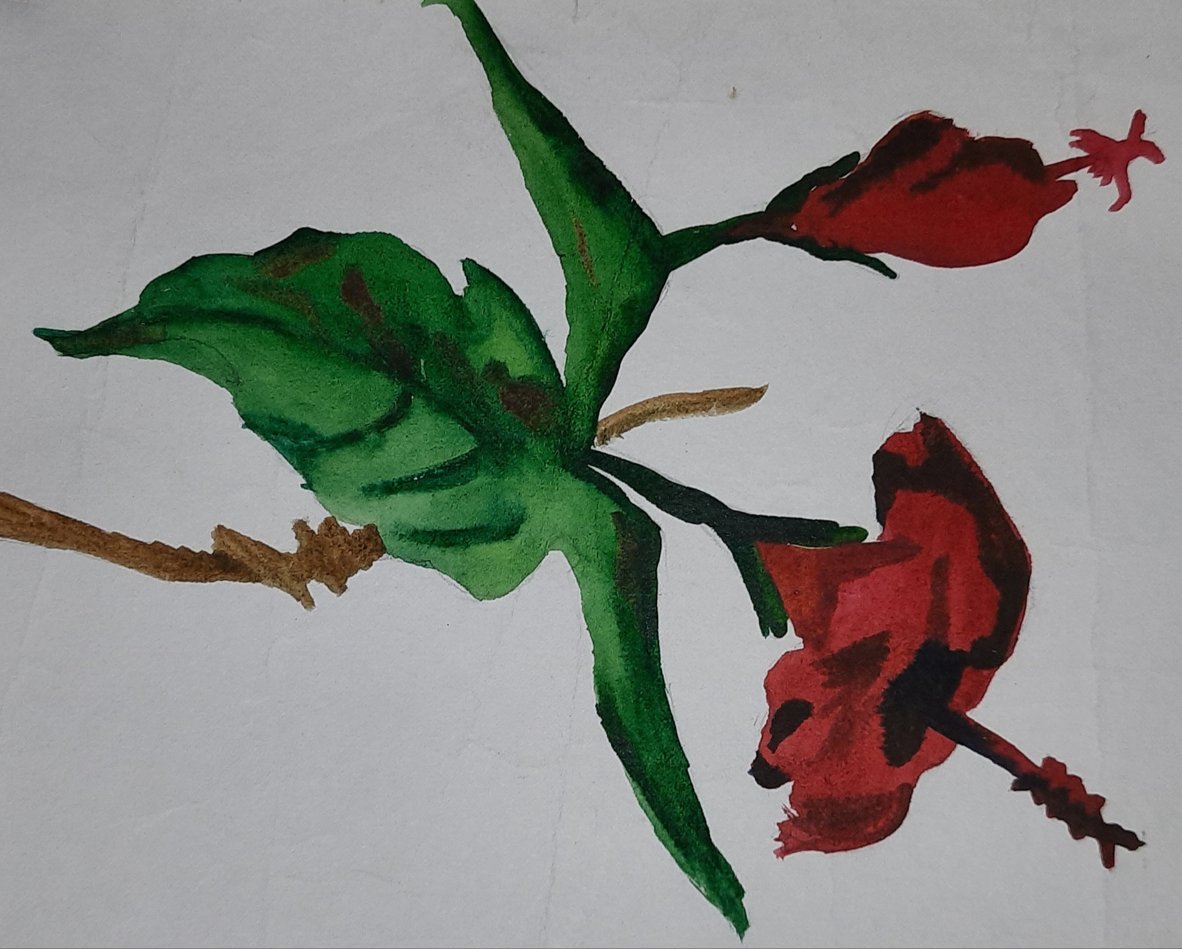 Keerthana Nambiar creative work