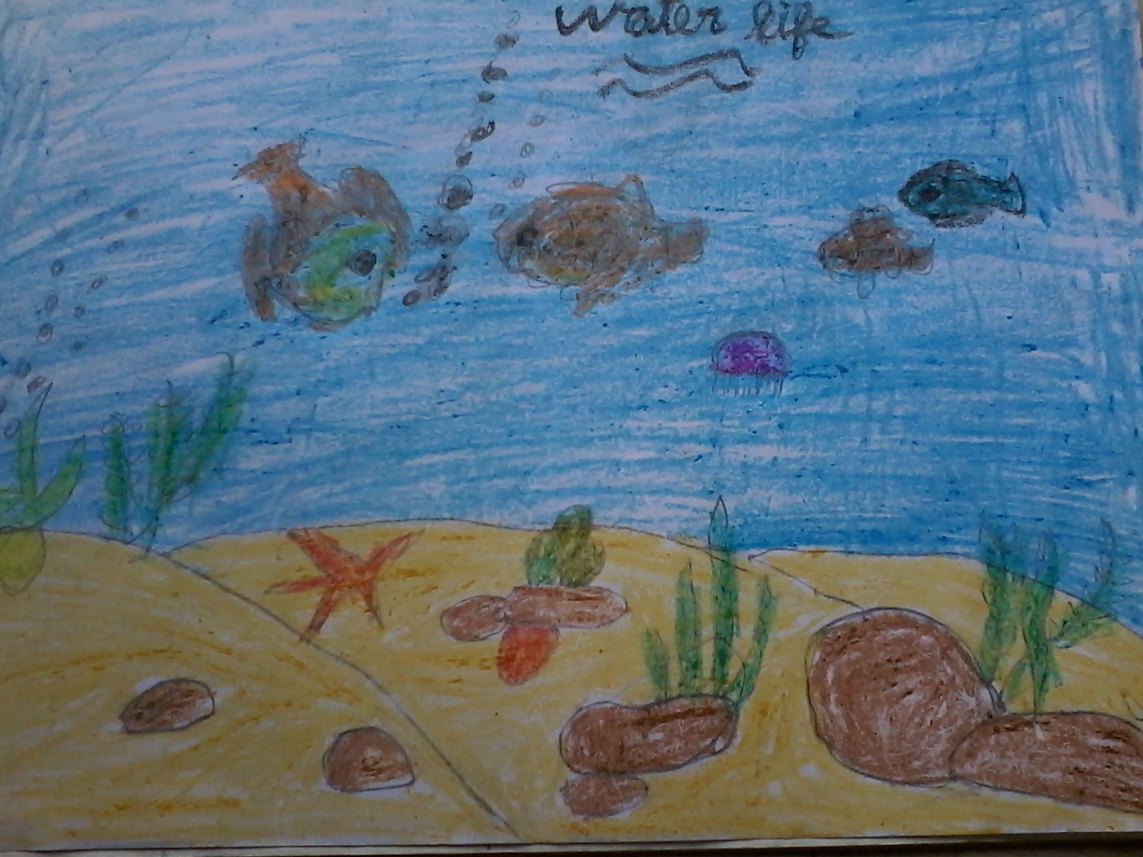 Rayan Haris creative work
