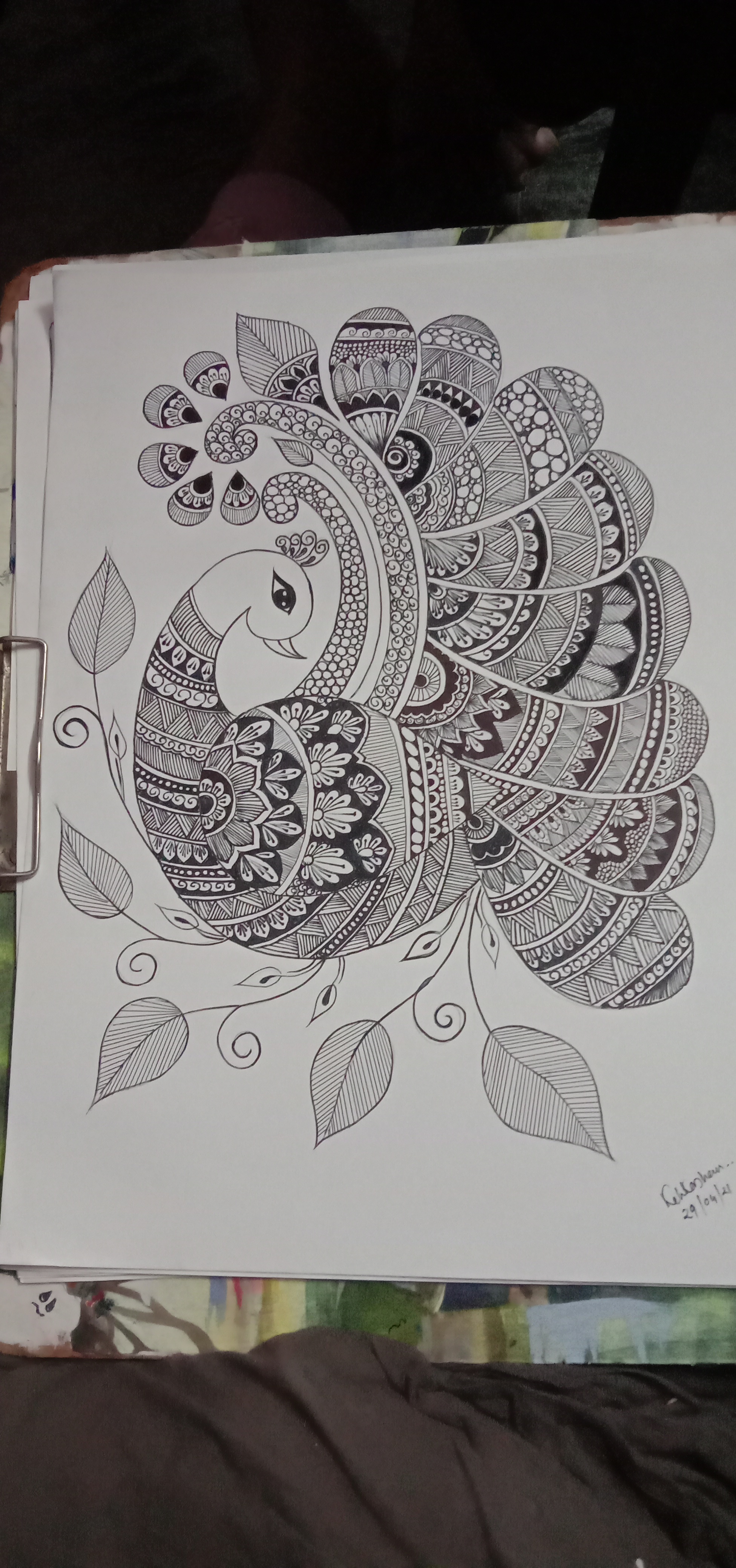Kehkashan Nagauri creative work