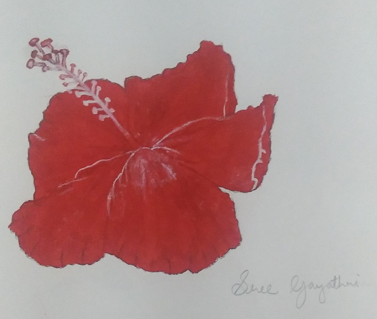 Sri Gayatri creative work