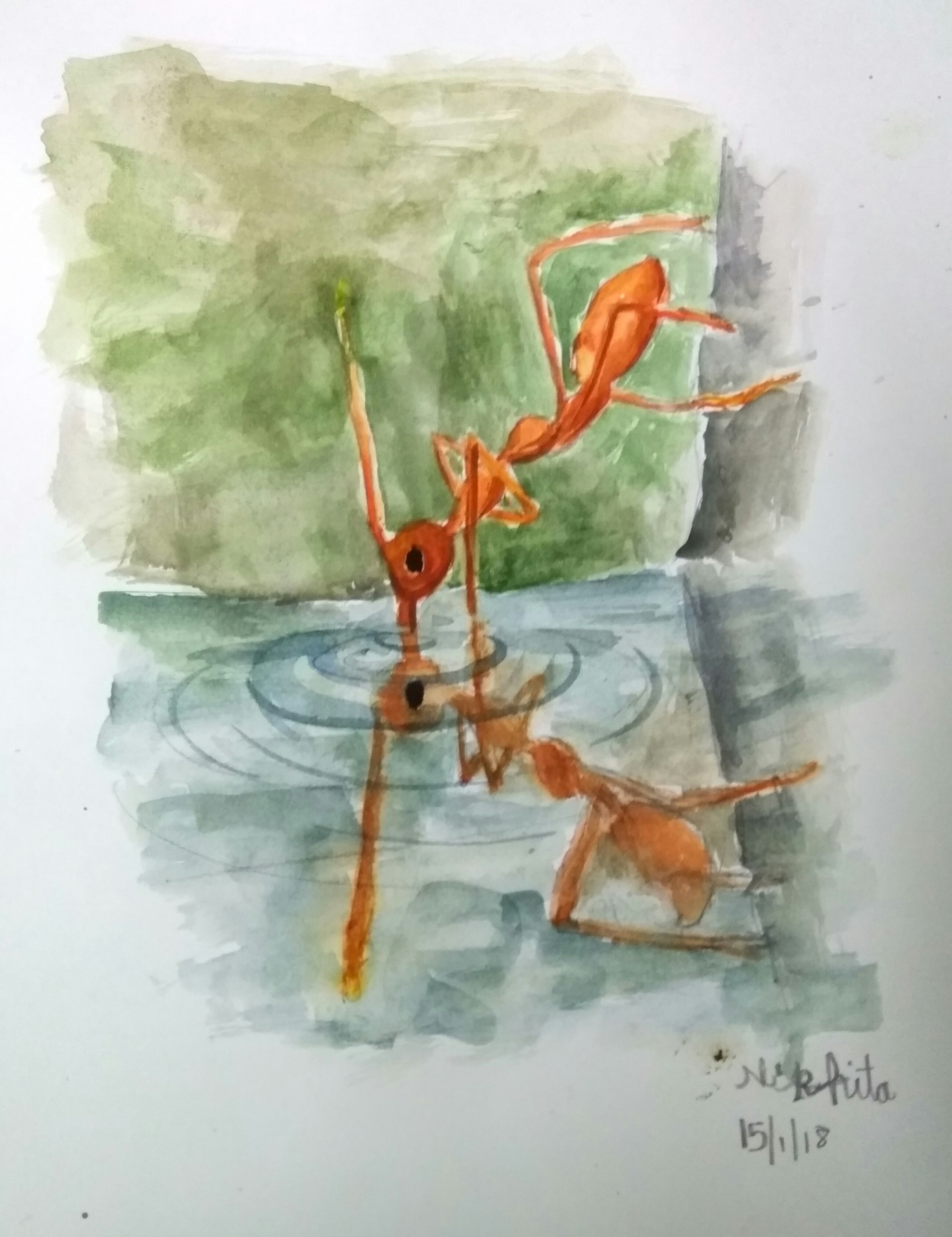 NIKHITA S KRISHNAN creative work