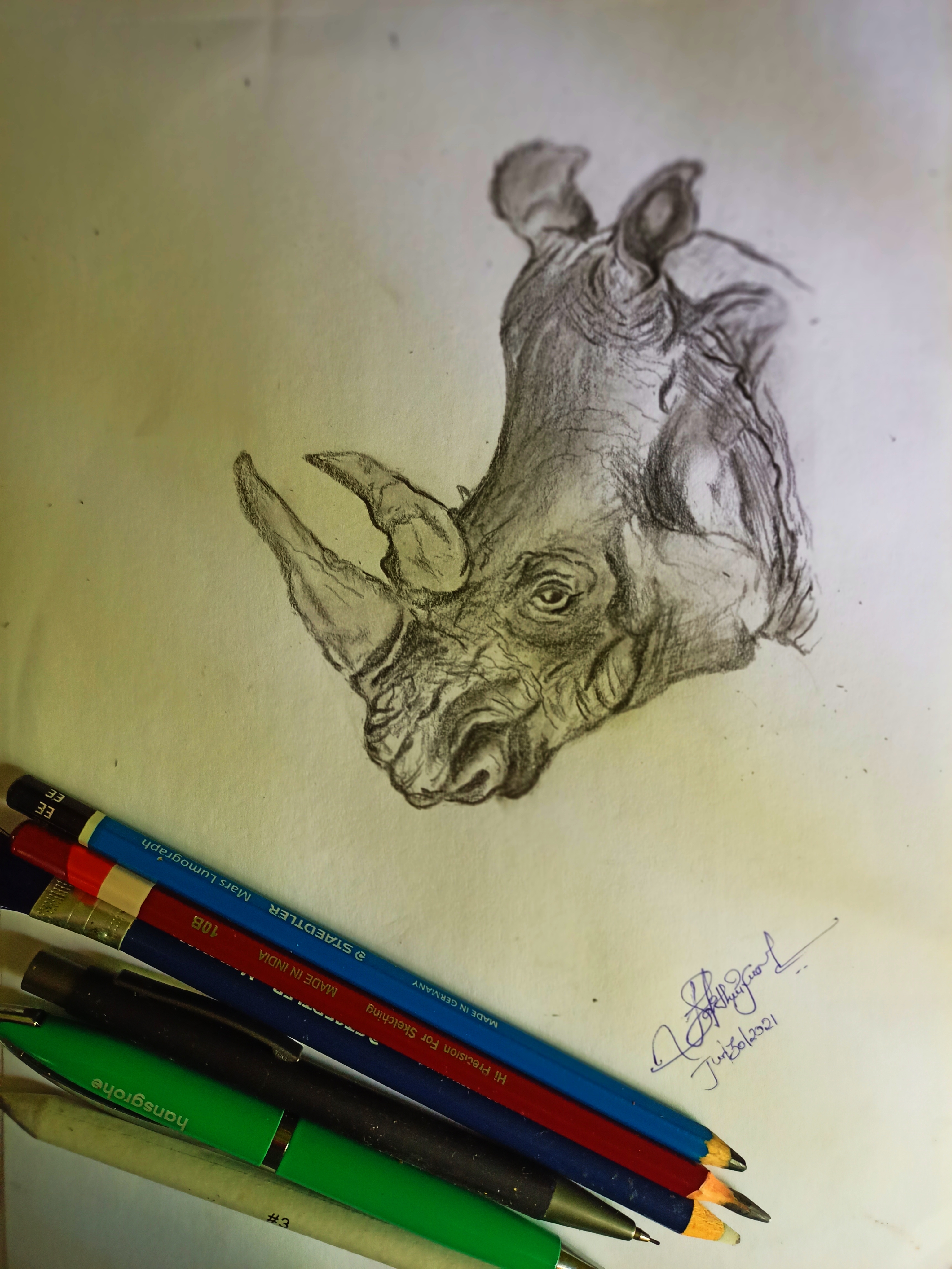 Haritha Vijayan creative work